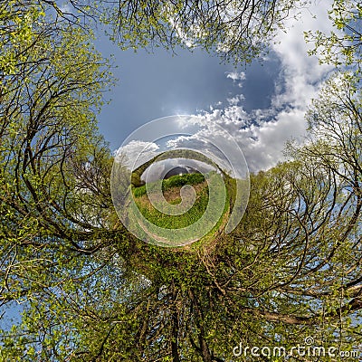 tiny planet transformation of spherical panorama 360 degrees. Spherical abstract aerial view with trees in forest with clumsy Stock Photo