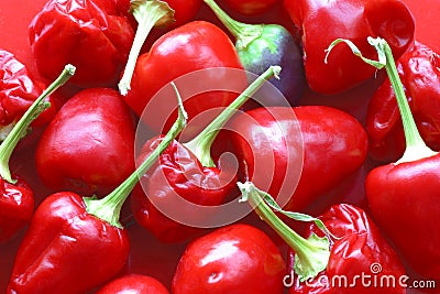 Tiny red hot chili peppers, Stock Photo