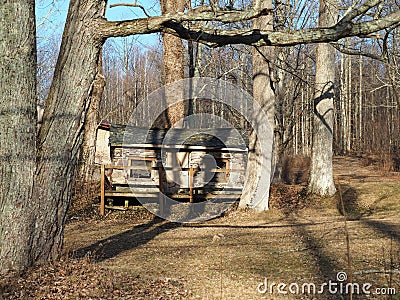 Tiny Rustic House in Forest Stock Photo