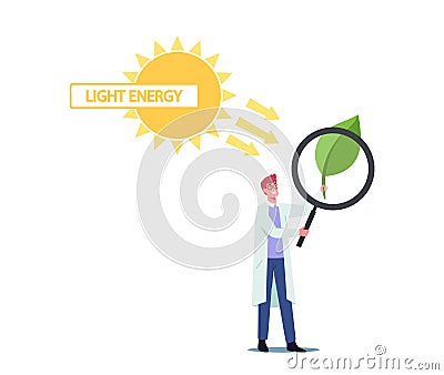 Tiny Scientist Male Character Looking on Green Leaf through Huge Magnifying Glass. Sun Shining on Plant. Photosynthesis Vector Illustration