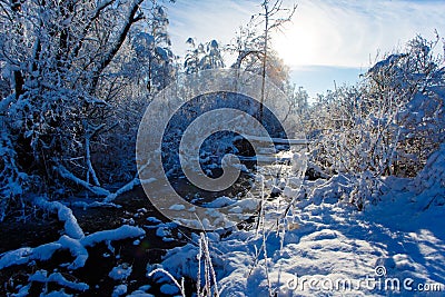 Tiny stream flowing along snowy woods on sunny day Stock Photo