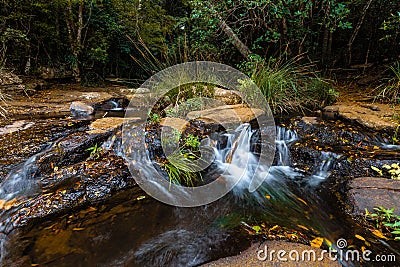 Tiny waterfall closeup in a bubbling creek. Stock Photo