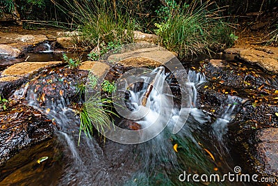 Tiny waterfall closeup in a bubbling creek. Stock Photo