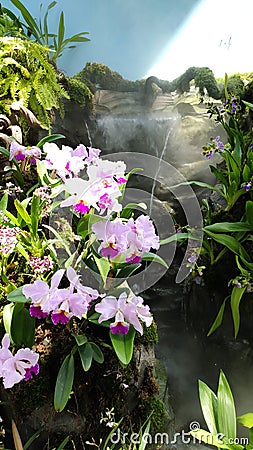 Tiny waterfall model surrounded by flowers and plants Stock Photo