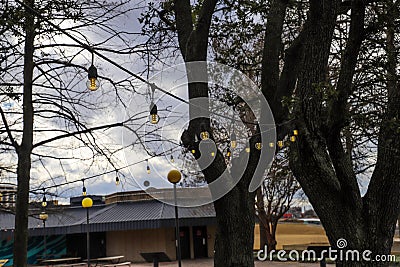 Tiny yellow lights hanging from a black wire around a tree surrounded by tall circular light posts with gray sky Stock Photo