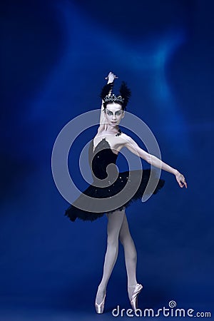 Portrait of young incredibly beautiful woman, ballerina in black ballet outfit, tutu dancing at blue studio full of Stock Photo