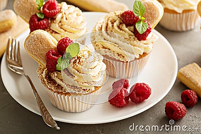 Tiramisu cupcakes with mascarpone cream Stock Photo