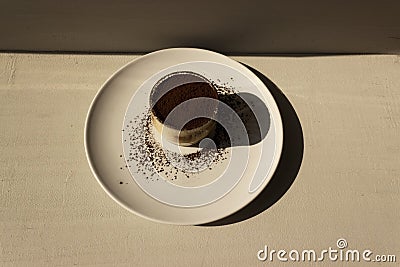 Tiramisu dessert isolated on grey background. Coffee and cacao. Stock Photo