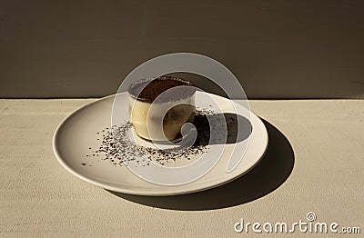 Tiramisu dessert isolated on grey background. Coffee and cacao. Stock Photo