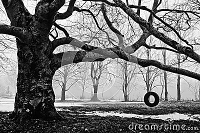 Tire Swing Stock Photo