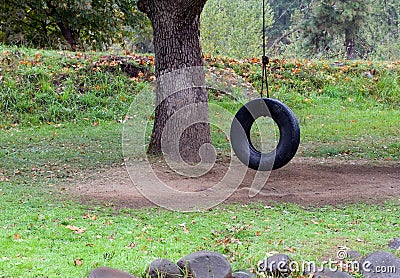 Tire swing in a tree Stock Photo