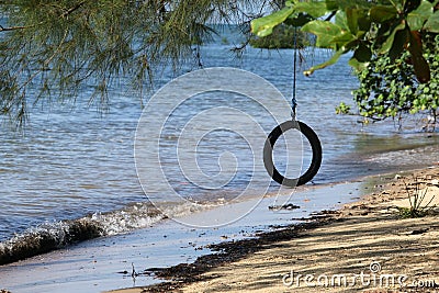 Tire swings hang from trees on the sandy beach with selective focus. Stock Photo