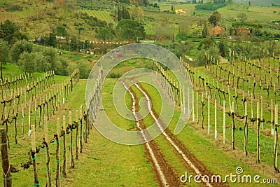 Tire Tracks Stock Photo