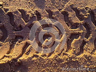 Tire tracks Stock Photo