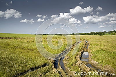 Tire Tracks in field Stock Photo