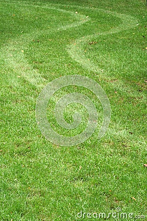 Tire tracks in the grass Stock Photo