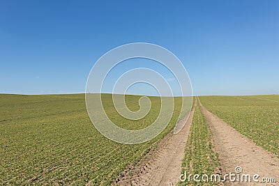 Tire tracks in green field with clear blue sky background Stock Photo
