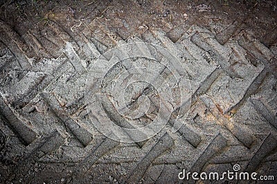 Tire tracks on a muddy road Stock Photo