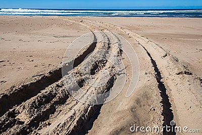 Tire Tracks 4x4 Beach Sand Close-Up Stock Photo