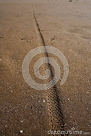 Tire tyre tread print on beach sand Stock Photo