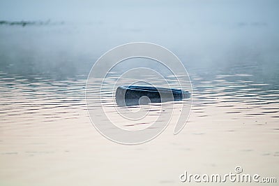 Tire from the wheel in the foggy river Stock Photo