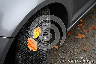 Tires with leaves and car on wet road in autumn season. Foggy and dangerous driving - concept for traffic and road safety Stock Photo