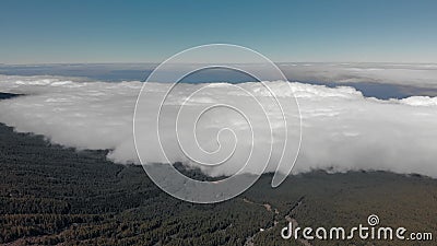Tiro aéreo Voo da floresta do verde das montanhas acima das nuvens Movimento para trás vídeos de arquivo Tiro aéreo Voo da floresta do verde das montanhas acima das nuvens Movimento para trás vídeos de arquivo