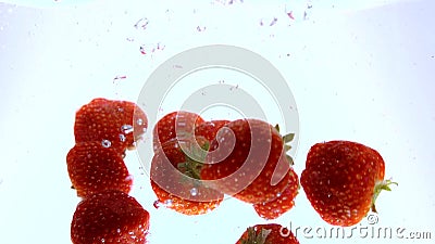 Tiro do movimento lento das morangos que caem na água - muito refrescando filme Tiro do movimento lento das morangos que caem na água - muito refrescando filme