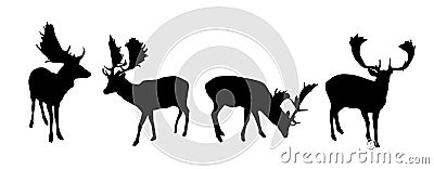 Vector black silhouettes of fallow deers isolated on white background Vector Illustration