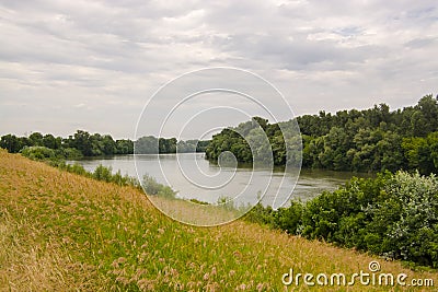 The Tisza river in early Summer in South Hungary Stock Photo