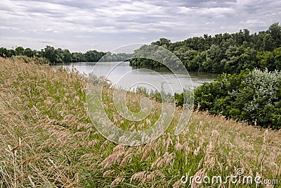 The Tisza river in early Summer in South Hungary Stock Photo