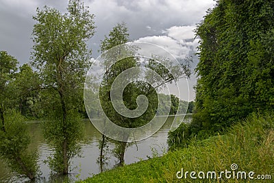 The Tisza river in early Summer in South Hungary Stock Photo