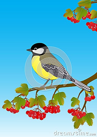 Tit on a branch of viburnum Vector Illustration