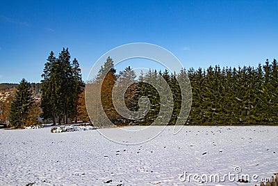 Titisee-Neustadt, Germany - 10 30 2012: surroundings of Titisee, scenic veiw of winter nature, forest and european village Stock Photo