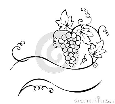 Title - the vine Vector Illustration