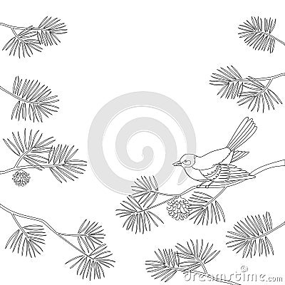 Titmouse on pine branch, contour. Vector Vector Illustration