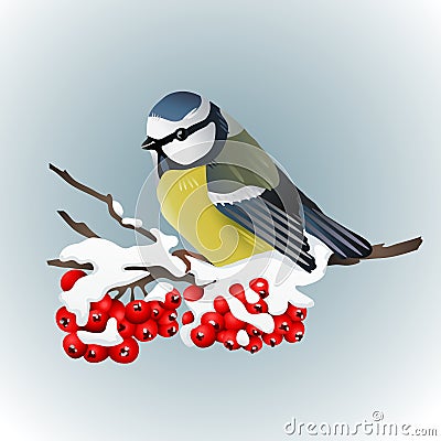 Titmouse sitting on snowcovered branch of mountain ash. Winter nature. Vector illustration Cartoon Illustration