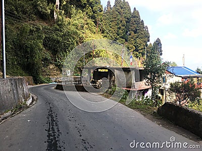TN Road Darjeeling scenery road Pine trees at Bock ground. Stock Photo