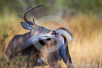 To each his own Stock Photo