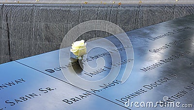 White Rose Recognizing the Birthday of those who perished in the 9/11 attacks. Editorial Stock Photo