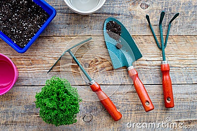 To plant flowers. Gardening tools and pots with soil on wooden background top view Stock Photo