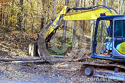 To prepare for construction home builder uses a tractor to uproot trees in forest Stock Photo