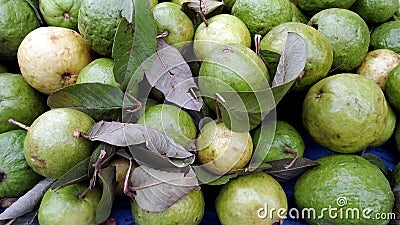 To sell a bunch of guava on the street market Stock Photo