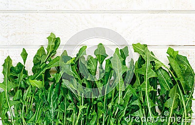 Overhead view of fresh organic dandelion greens Stock Photo