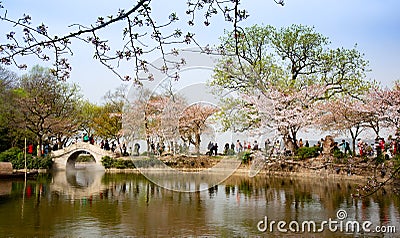 China Wuxi Shantou Cherry Blossom Festival Editorial Stock Photo