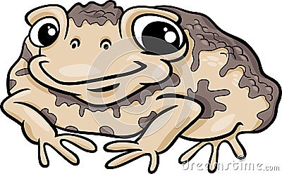 Toad amphibian cartoon illustration Vector Illustration