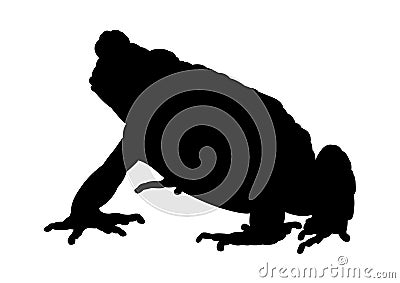 Toad Black silhouette Stock Photo