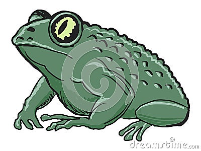 Toad Vector Illustration