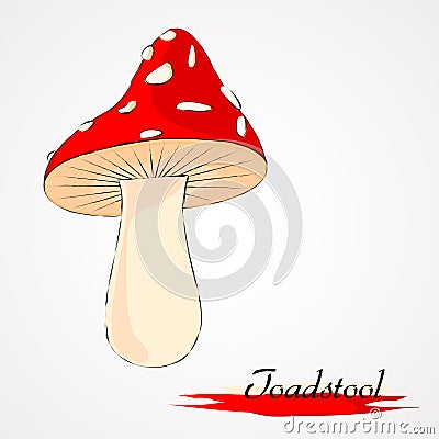 Toadstool Stock Photo