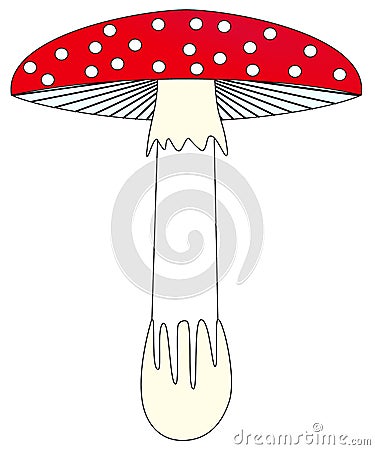 Toadstool ilustration Cartoon Illustration